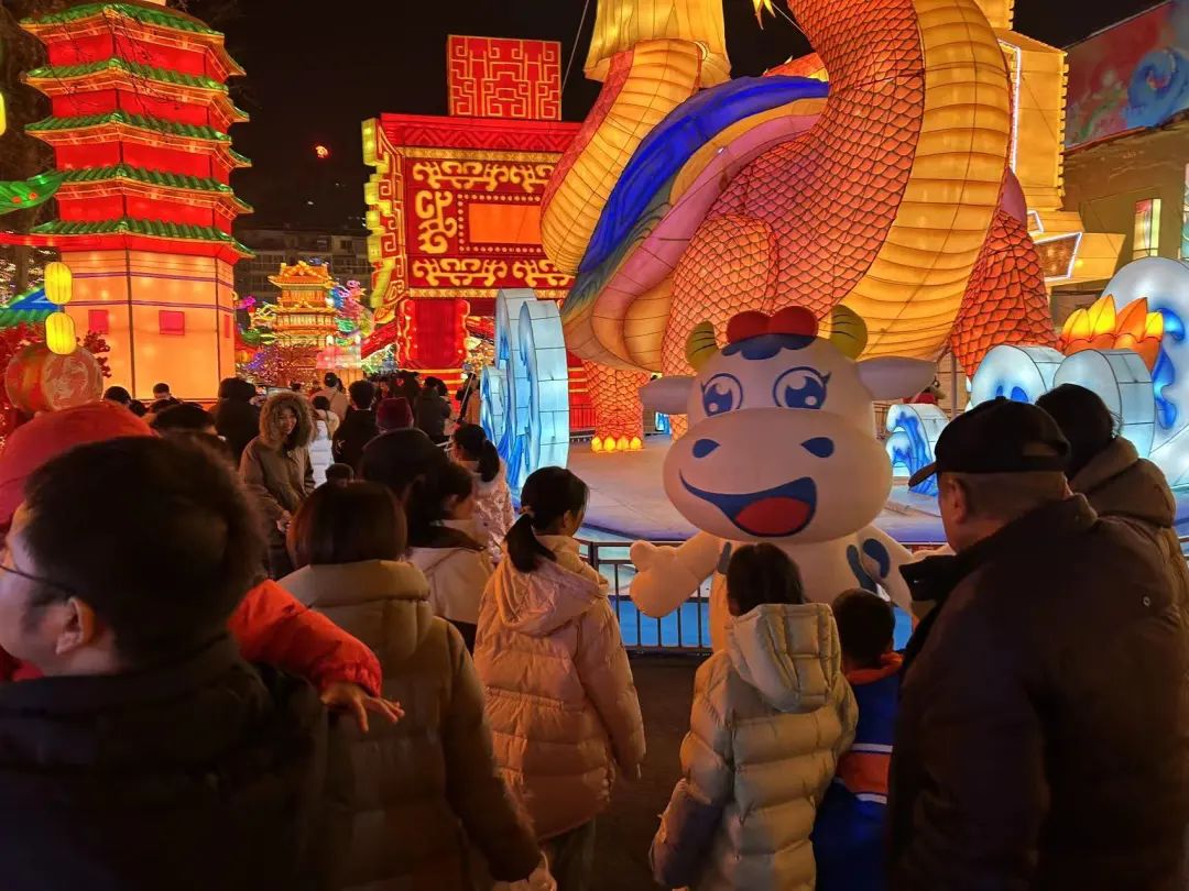 央視直播鄭州龍年燈會(huì)迎新春，花花牛品牌上大分