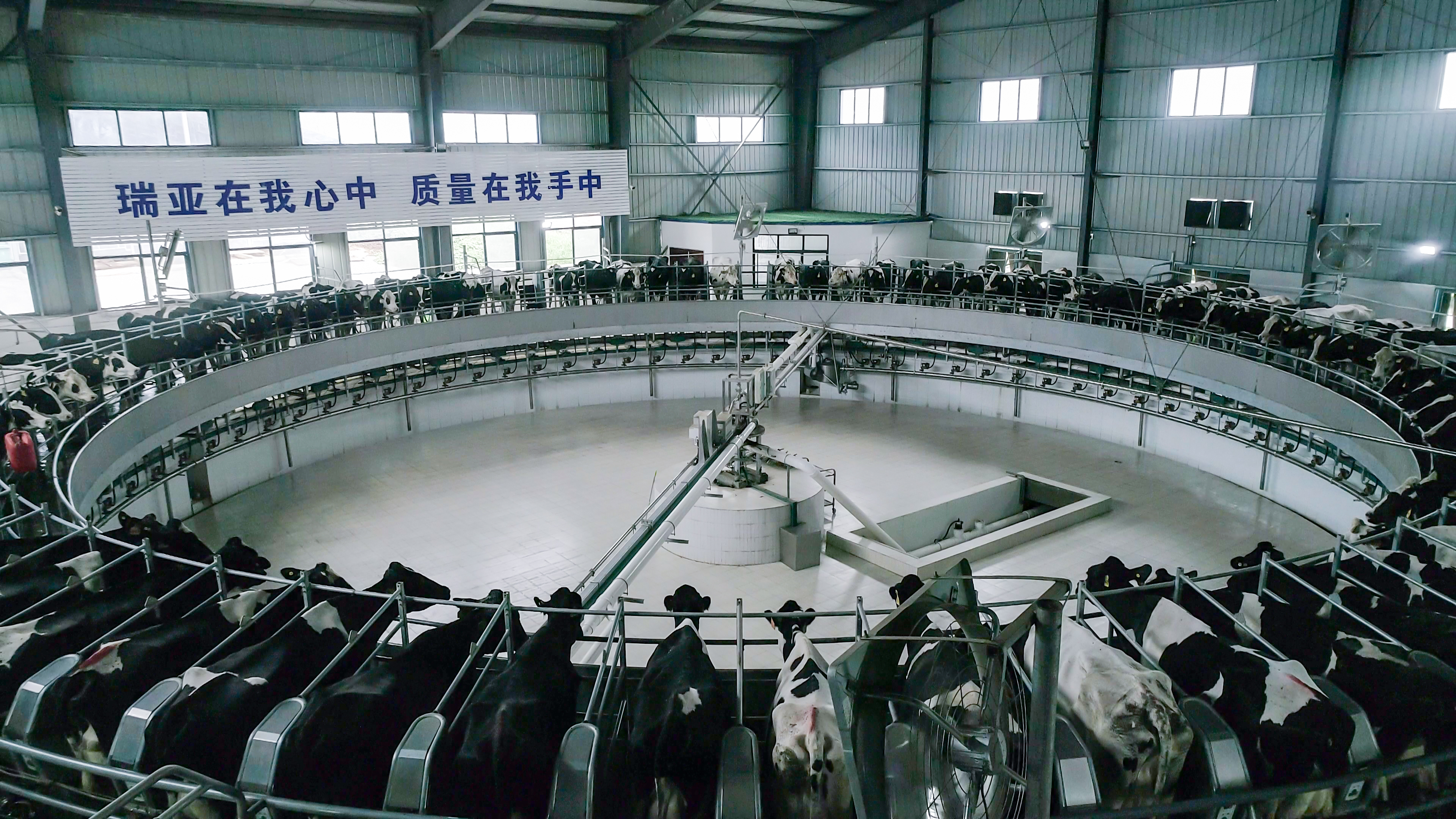 河南省人大常委會黨組書記、副主任孔昌生蒞臨花花牛魯山瑞亞牧場參觀調(diào)研