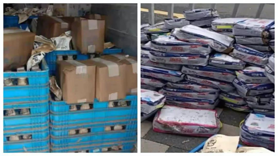 【乳報·聚焦】“豫”難而上的中原牛人“太中了”！