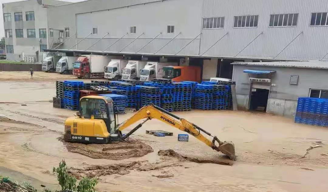 【乳報·聚焦】“豫”難而上的中原牛人“太中了”！