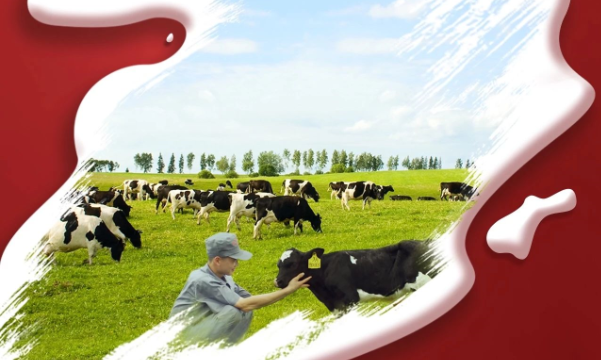 喜報！花花牛董事長關曉彥再獲”優(yōu) 秀企業(yè)家”稱號